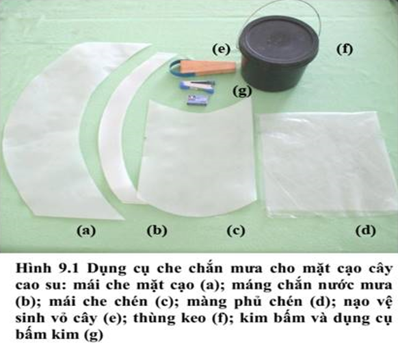 vật liệu che mưa_1676451468.png